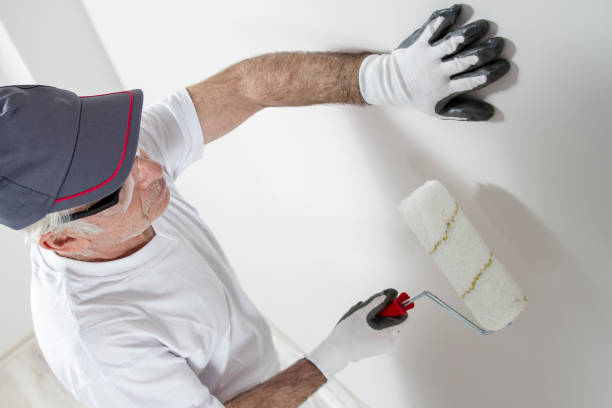 Best Attic Mold Removal  in Goodman, MS