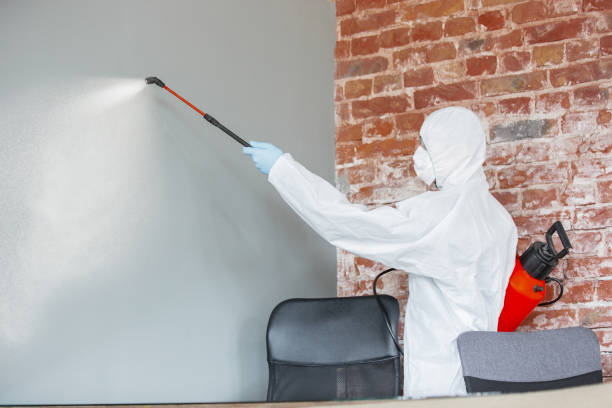Best Mold Remediation for Healthcare Facilities  in Goodman, MS