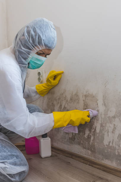 Best Mold-Related Health Consultation  in Goodman, MS