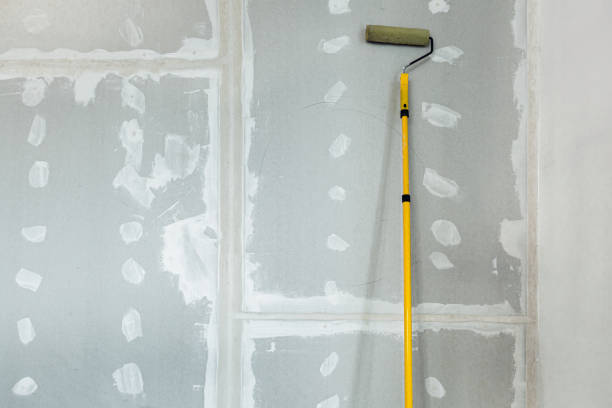 Best Environmental Consulting for Mold Prevention  in Goodman, MS