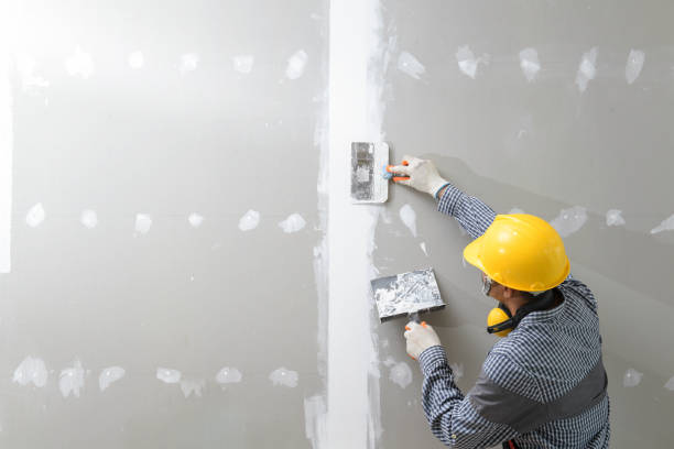 Mold Documentation for Insurance Claims in Goodman, MS