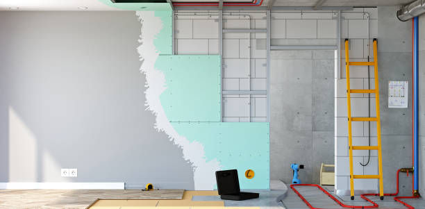 Best Biohazard Mold Removal  in Goodman, MS