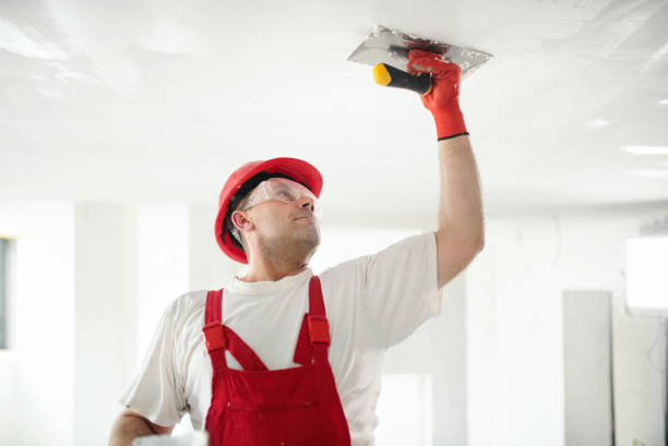 Best Airborne Mold Testing  in Goodman, MS