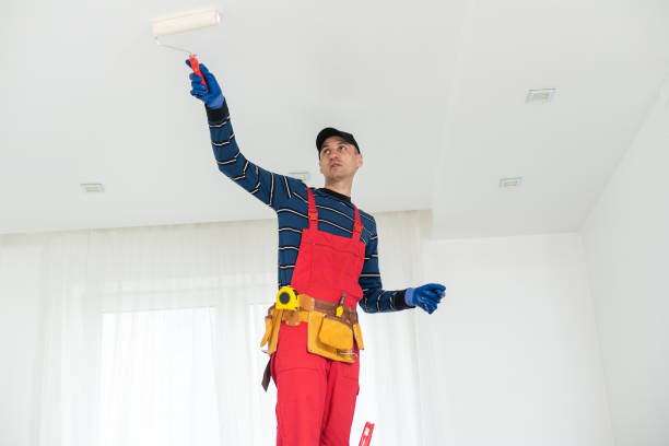 Best Black Mold Removal  in Goodman, MS