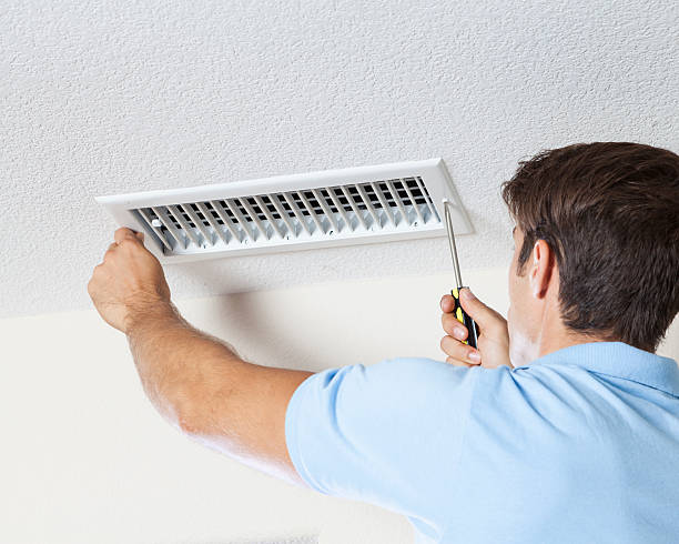 Best Mold Damage Restoration  in Goodman, MS