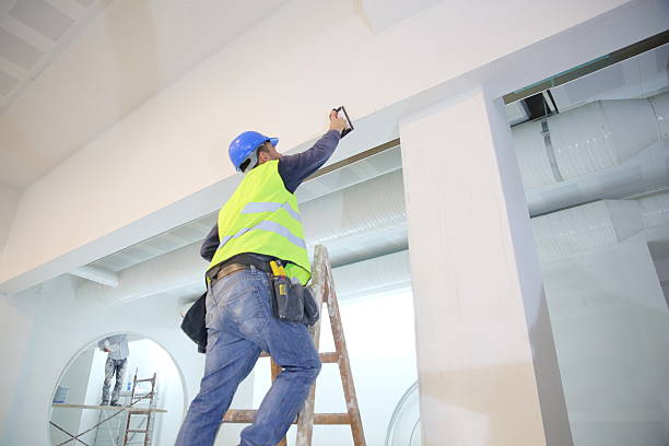 Best Industrial Mold Remediation  in Goodman, MS