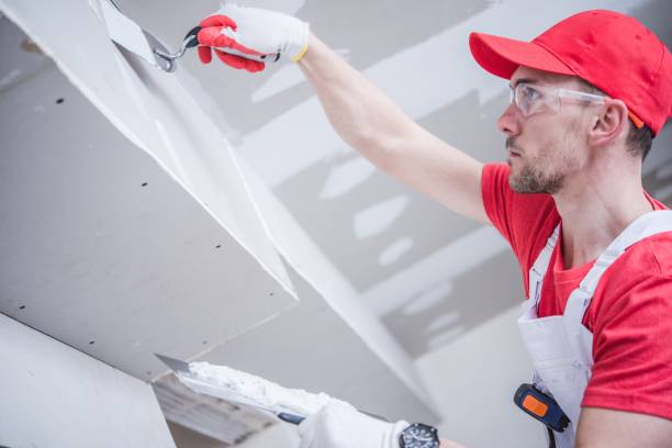 Best Real Estate Mold Inspection  in Goodman, MS